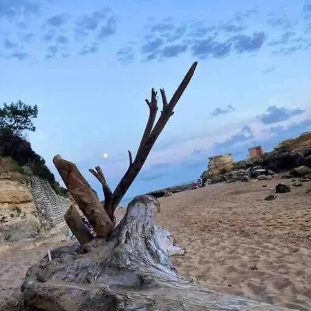 Appartement-terrasse 300m St Palais Sur Saint-Palais-sur-Mer