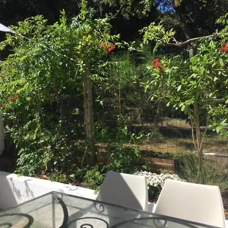 Appartement-jardinet 300 M St Palais Sur Saint-Palais-sur-Mer