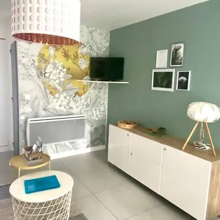 Appartement-jardinet 300 M St Palais Sur