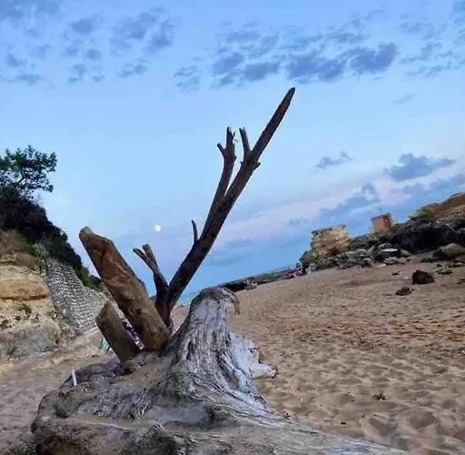 Appartement-terrasse 300m St Palais Sur Saint-Palais-sur-Mer